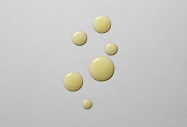 PERFECTING FACIAL OIL - Image 6