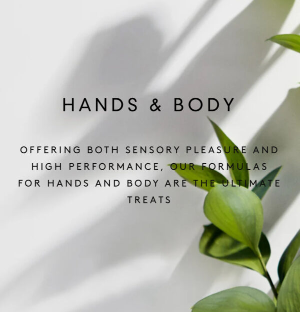 ENRICHED HAND & BODY WASH - Image 3